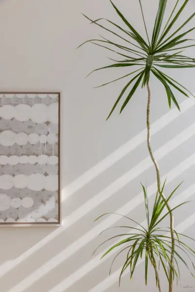 아트워크와 식물이 만나는 감각적인 오피스 코너